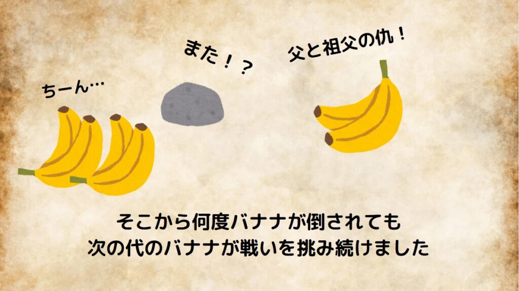 そこから何度バナナが倒されても次の代のバナナが戦いを挑み続けました
