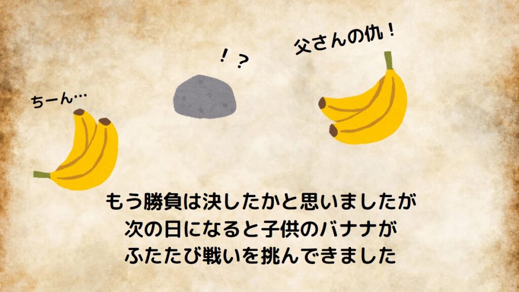 もう勝負は決したかと思いましたが、次の日になると子供のバナナがふたたび戦いを挑んできました